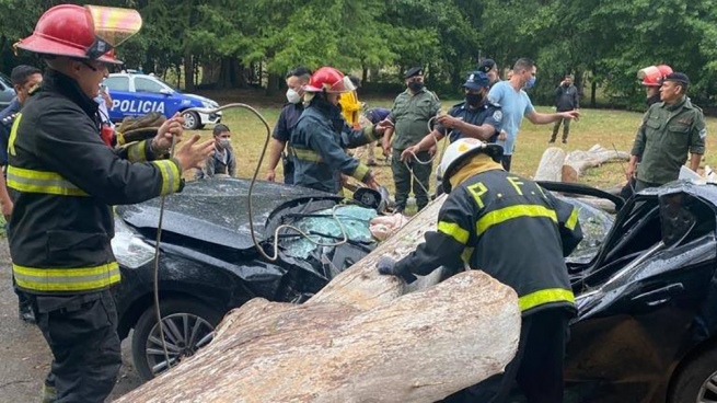 Ezeiza firefighters rescued a person from a car crushed by a tree