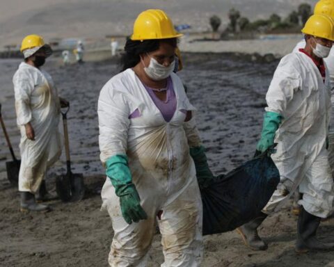 Fernando Neyra on oil spill: "I hope the oil does not reach Chimbote"