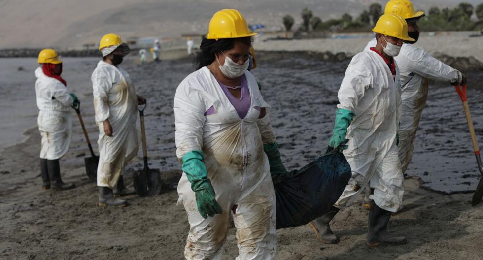 Fernando Neyra on oil spill: "I hope the oil does not reach Chimbote"