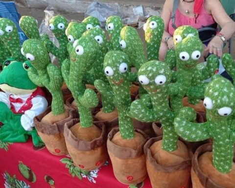 Grupo Lince will take care of "Los Reyes" in Eusebio Ayala: dancing cactus is all the rage