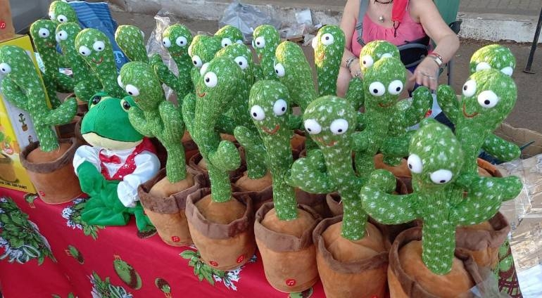 Grupo Lince will take care of "Los Reyes" in Eusebio Ayala: dancing cactus is all the rage