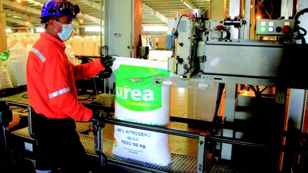 How much urea was exported in 2021?  YPFB and INE differ