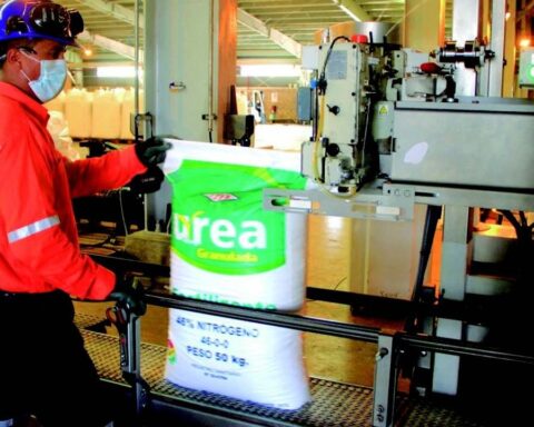 How much urea was exported in 2021?  YPFB and INE differ