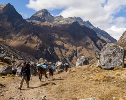 Machu Picchu: they confirm the closure of the Inca Trail from this February 1