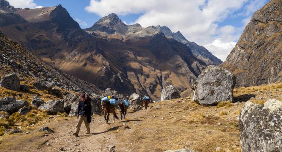 Machu Picchu: they confirm the closure of the Inca Trail from this February 1