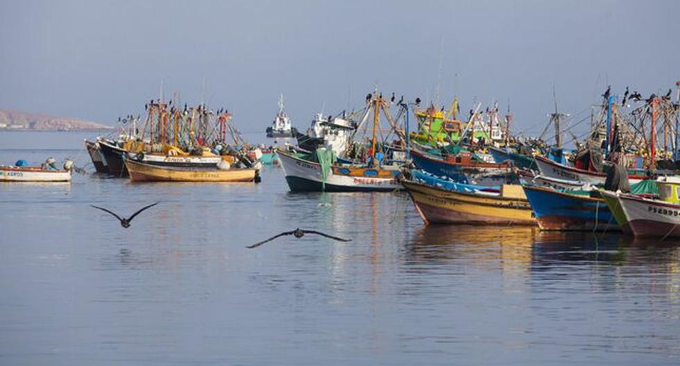 Oil spill will seriously affect tourism and fishing in affected areas