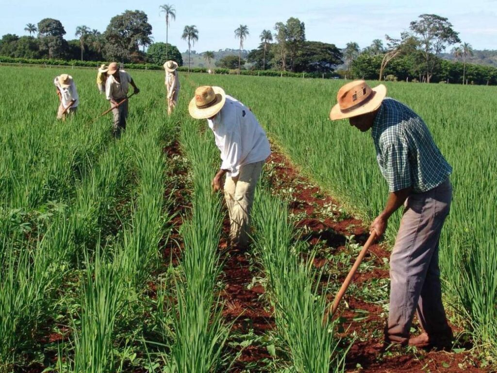 El campo es uno de los sectores que menos participó de la recuperación durante 2021.