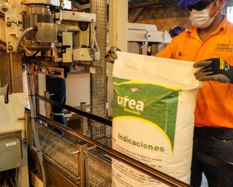 Son of Arce negotiated delivery of the Urea Plant to Venezuela, according to Amalia Pando