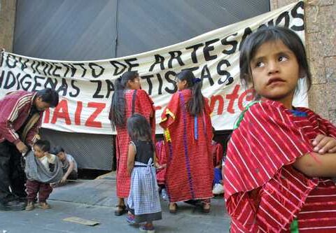 The SEP, without policies for the training of indigenous education teachers, accuse