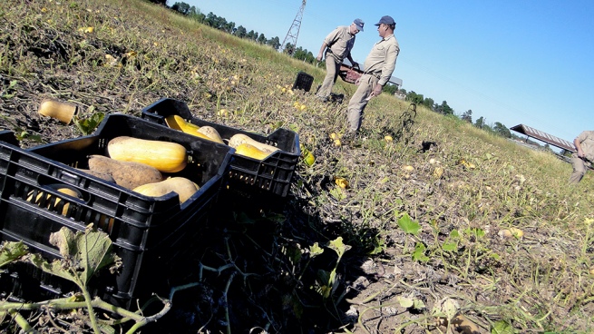 The government bets on agri-food to boost exports