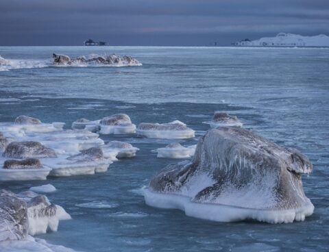 The melting of Antarctic glaciers affects the distribution of seaweed