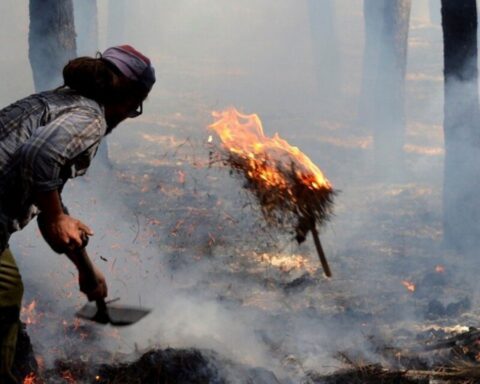 They discovered how the fire in Miramar that destroyed more than 50 hectares of forest originated