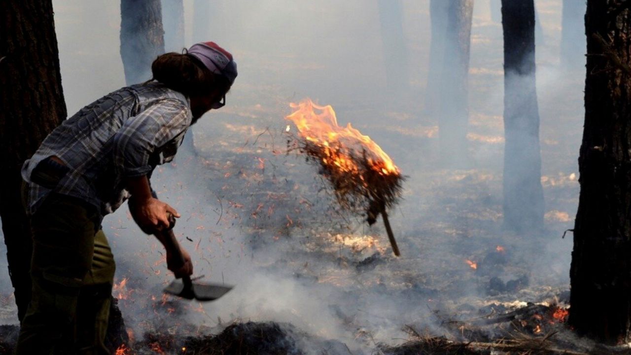 They discovered how the fire in Miramar that destroyed more than 50 hectares of forest originated