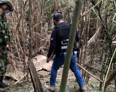 They find 200 kilos of ELN explosives in rural Cali