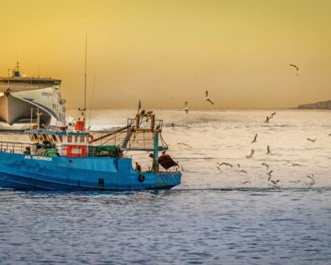 Virtual meeting showed the virtues of technology in fishing