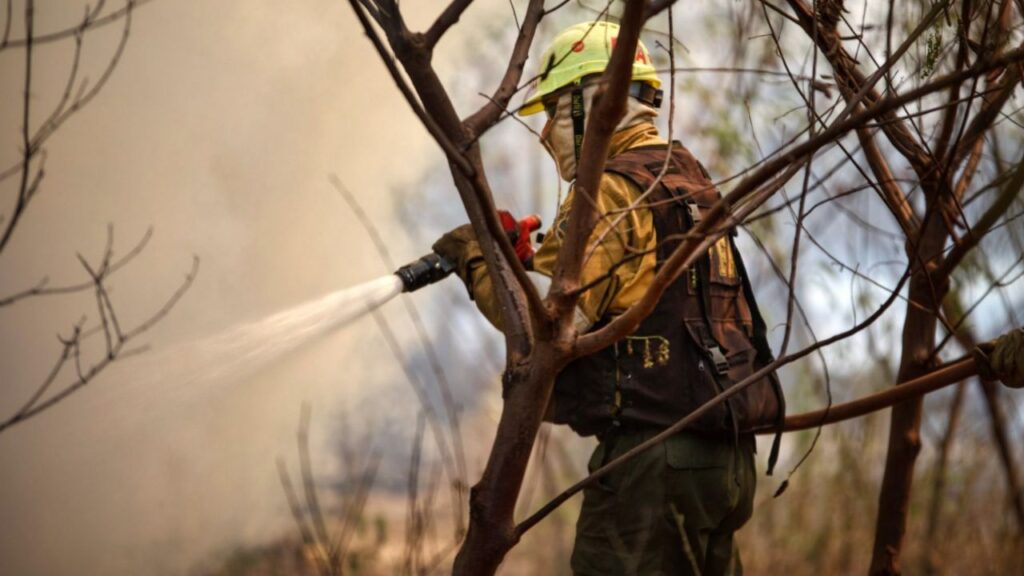 70% of the fires in Corrientes are already under control and the losses are evaluated