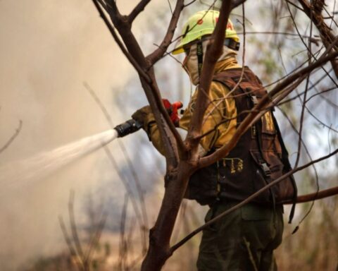 70% of the fires in Corrientes are already under control and the losses are evaluated