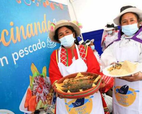 "A Comer Pescado" placed more than 200 tons of fish nationwide so far this year