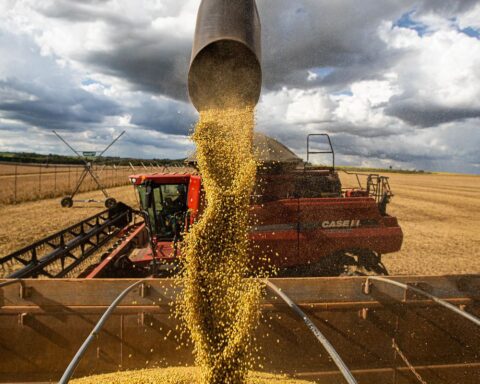 Agribusiness has a surplus of US$ 7.7 billion in January this year