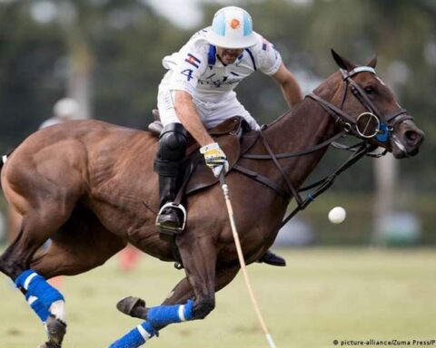 Argentina and Uruguay create a cryptocurrency dedicated to polo