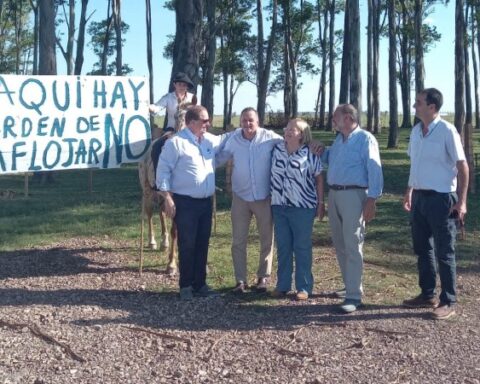 Bianchi: "We cannot allow the FA to keep our children and our factories"