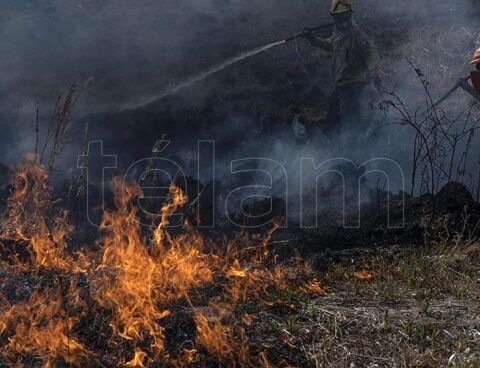 Brigade members warn about outbreaks that begin to affect the south of Misiones