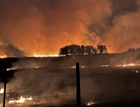 Cabandié about the fires in Corrientes: "We are experiencing an unprecedented drought."