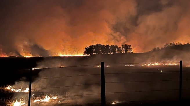 Cabandié about the fires in Corrientes: "We are experiencing an unprecedented drought."