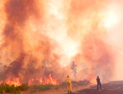 Corrientes is still in emergency due to the fires and the management for aid was reinforced