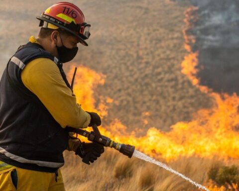 Corrientes under alert: fires destroy 19 thousand hectares per day