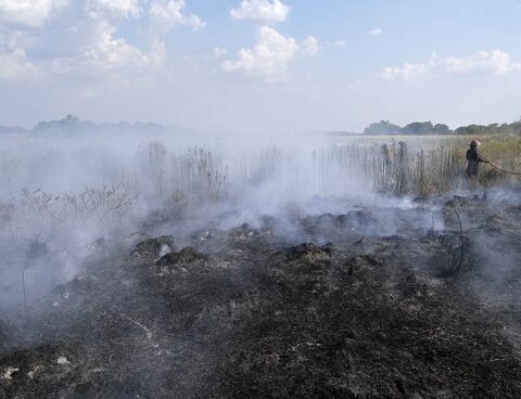 Credits of up to $1.5 million for rural producers affected by fires