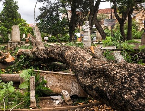 Cyclone Batsirai left six dead and nearly 48,000 homeless in Madagascar