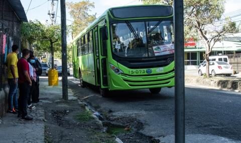 Director of Omsa: new corridors do not seek to privatize transport or disappear the institution