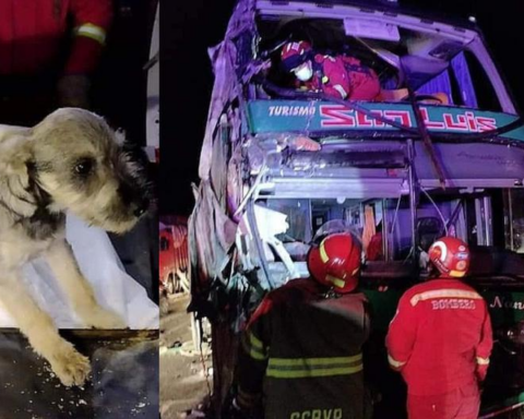 Double-decker bus collides with parked trailer leaving two dead in Cusco