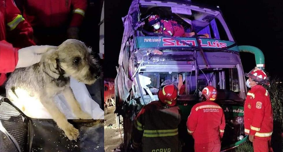 Double-decker bus collides with parked trailer leaving two dead in Cusco