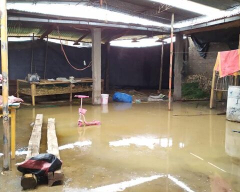 Dozens of guinea pigs die and businesses are eliminated by rains that flood properties in Huancayo (PHOTOS)