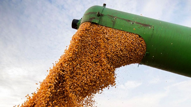 Due to the drought, drops in grain exports of up to US$ 2,500 million are estimated