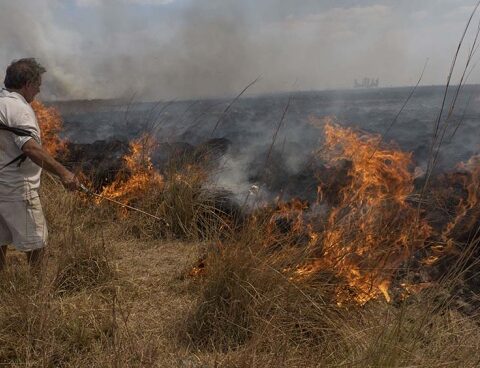 Eight active fires persist in Corrientes and another six in Misiones