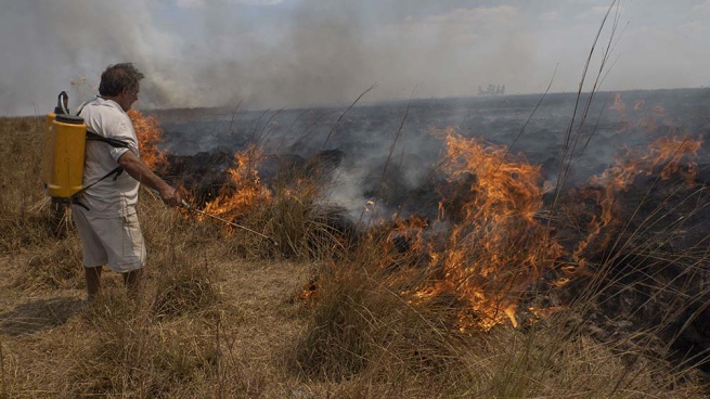 Eight active fires persist in Corrientes and another six in Misiones