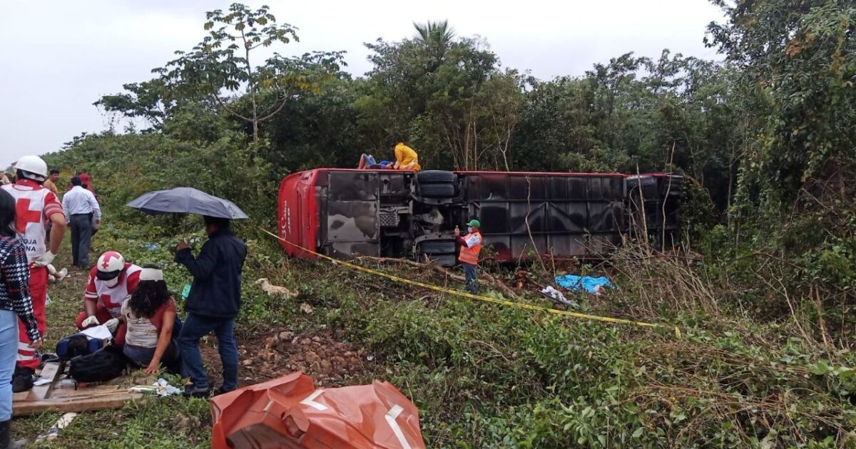 Eight deceased after bus crash with truck of the Mayan Train work
