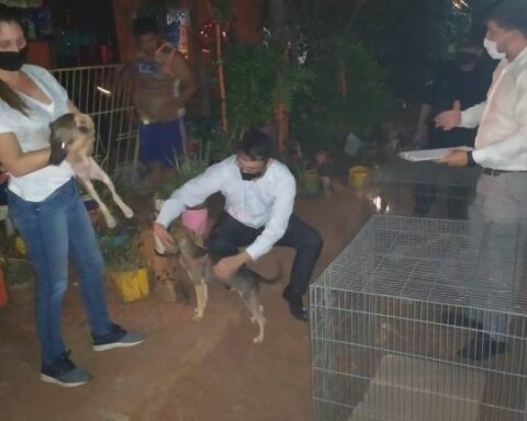 Elderly woman tortured and locked up with 14 dogs in Luque: the daughter and two people are charged