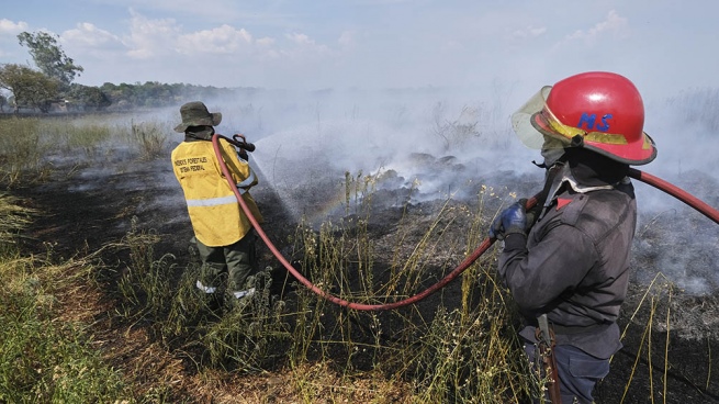 Environmental brigade combat forest fires in Corrientes and Río Negro