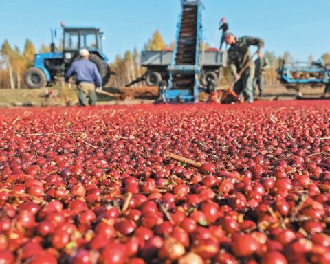 Exports from the Mexican countryside spun 12 years of growth in 2021