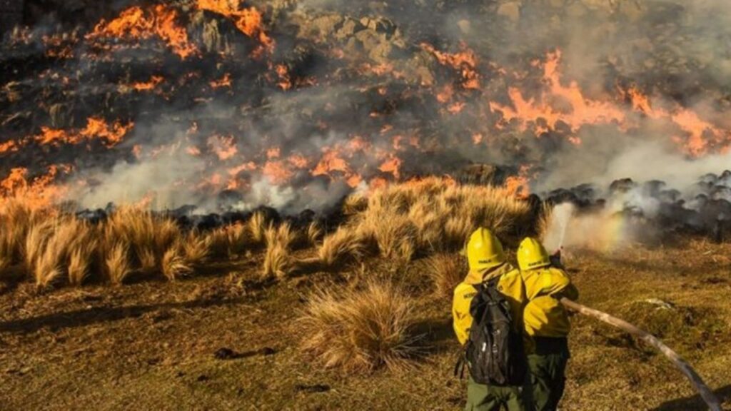 Fires in Corrientes: Alberto Fernández will visit the affected areas