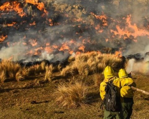 Fires in Corrientes: Alberto Fernández will visit the affected areas