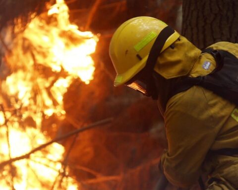 Fires in Corrientes: they estimate that the economic losses exceed 26,000 million pesos