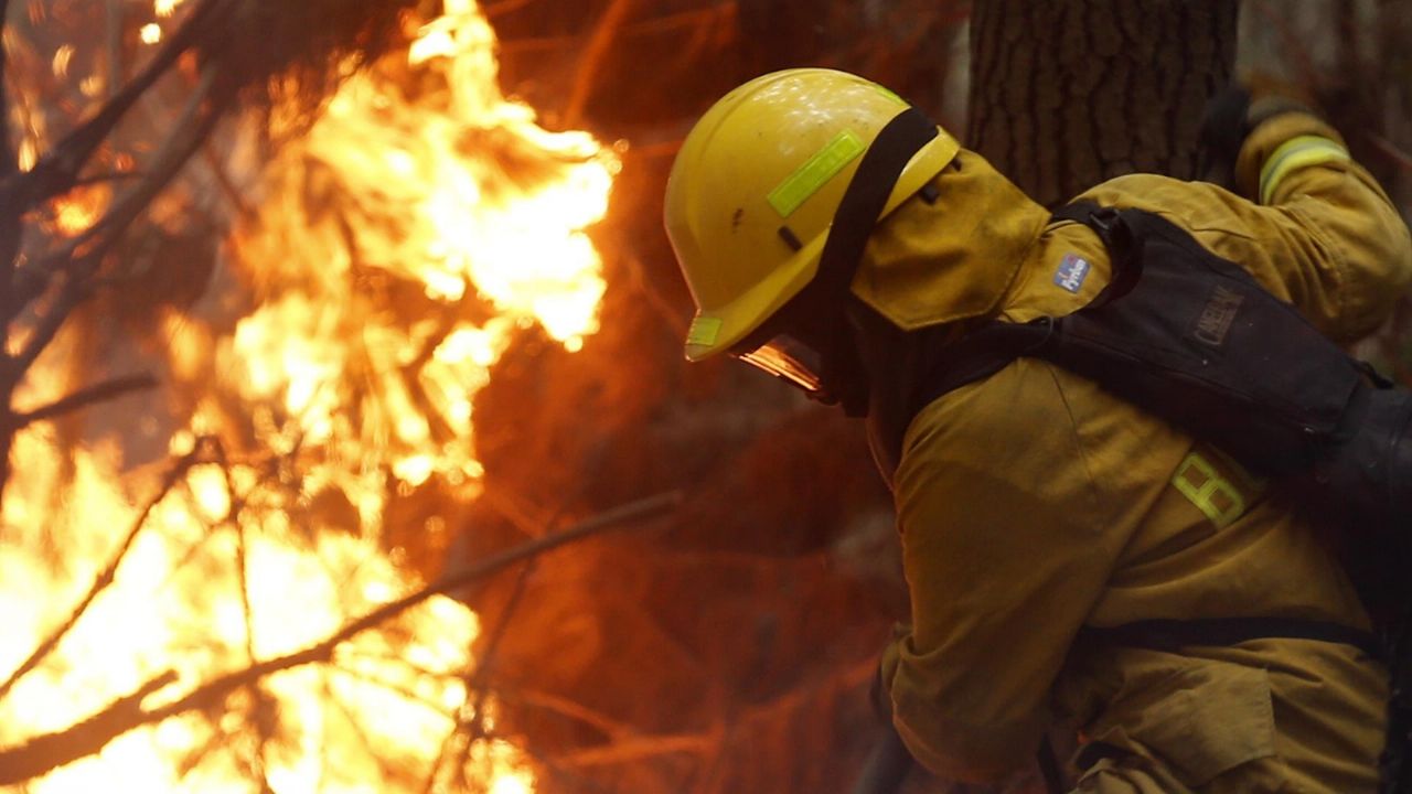 Fires in Corrientes: they estimate that the economic losses exceed 26,000 million pesos