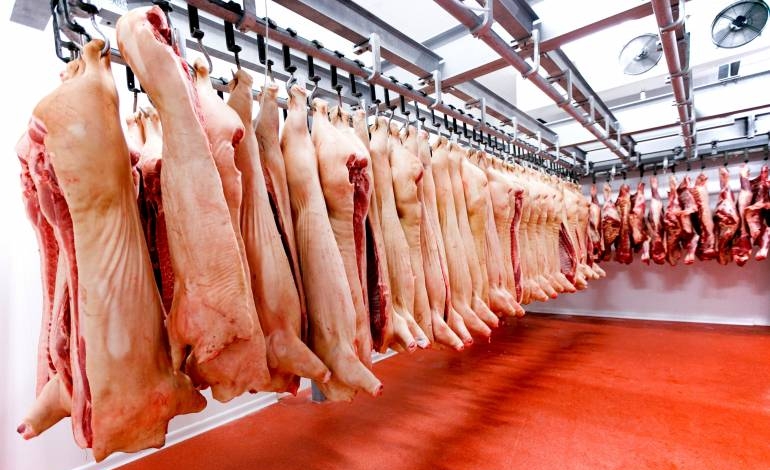 Future pig refrigerator will move the economy of Canindeyú