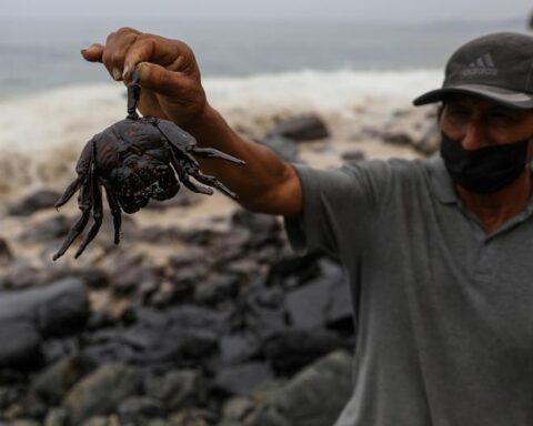 Huaral fishermen demand prompt cleaning of the sea after oil spill