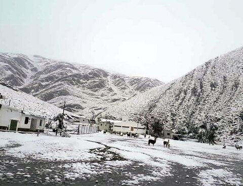 In the middle of summer, the town of Santa Catalina woke up under a blanket of snow